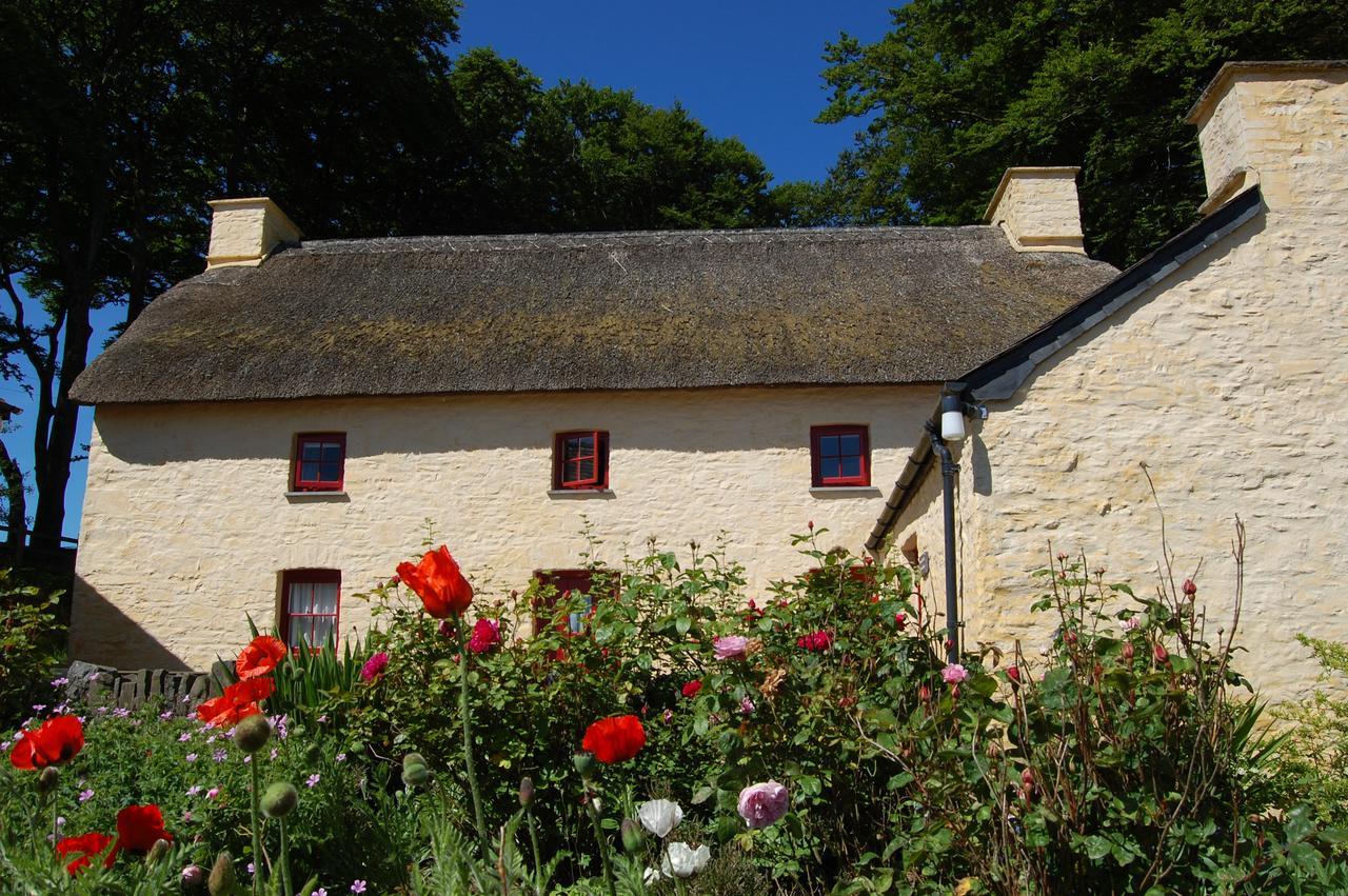 Treberfedd Farm Cottages And Cabins Λάμπετερ Εξωτερικό φωτογραφία